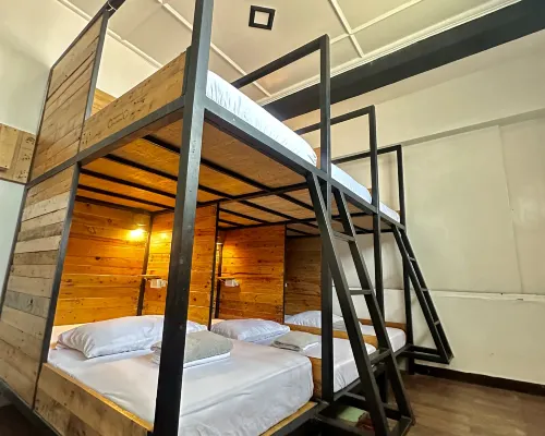 Yellow Umbrella Hostels Hotels in Cebu