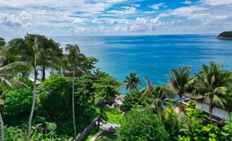Boutique 5 Bedroom Seaview Pool Villa | Kata Beach | Phuket | Warm Plus