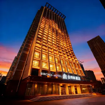 Birches Hotel (Youth Street, Shenyang Conservatory of Music Branch Hospital) Hotels near Kubeiland