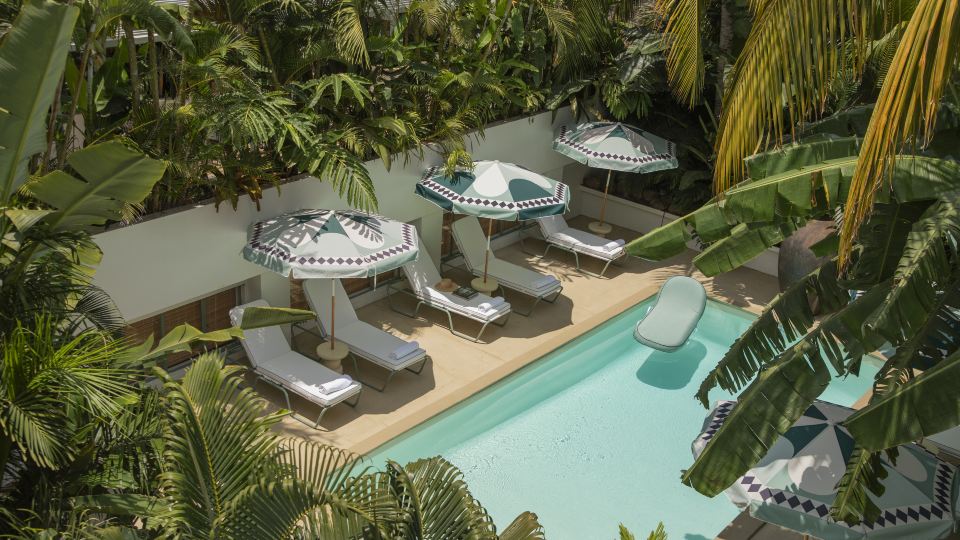 Maison Tropical