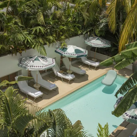 Maison Tropical