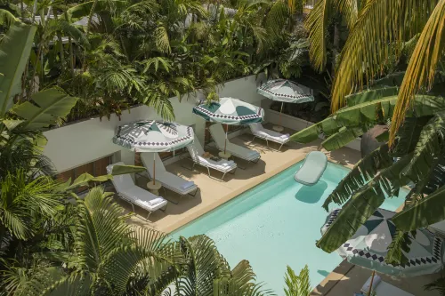 Maison Tropical - Homestays
