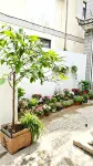 Dali Xingyu Seaside Homestay (Erhai Caicun Branch) โรงแรมในจุดชมวิวไคคัน