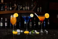 Jungle Villa Resort - Near Chitwan National Park - bar