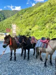 ShanHe Riverside Lodge - Airport Shuttle