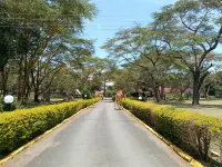 Muthu Lake Naivasha Country Club, Naivasha - 5-Star