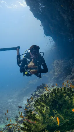 Bandos Maldives