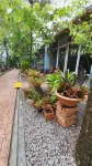 Khun Chaweng Resort - 2-Star