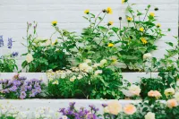 Jinting Garden · DreamLife Leisure Boutique Stay (Dali Ancient City)