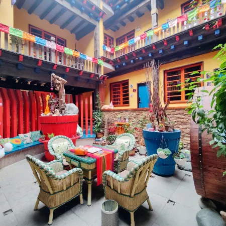 Jiumi Snow Mountain courtyard homestay