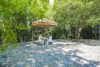Wudang Chuxing homestay