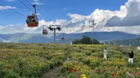 Ski and Suites at Thaiwoo Resort