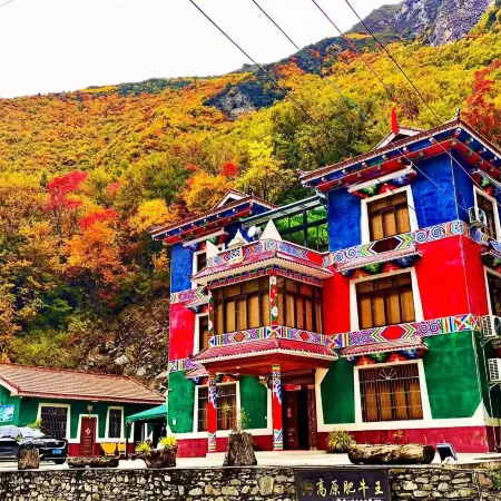 Jinuo Shanzhuang Hostel