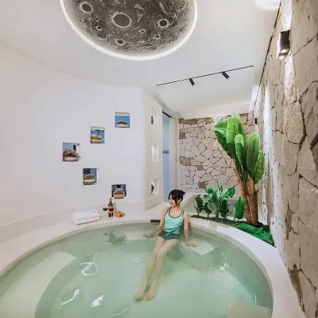 PALMETTO·Pool·Pampered Garden Meisu