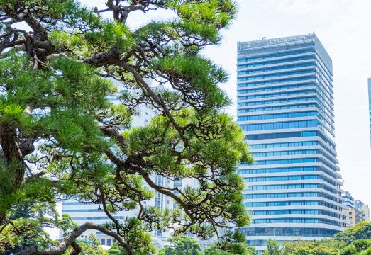 Mesm Tokyo, Autograph Collection Hotel Overview