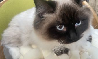 Seaview Forest Life·Aerobic (Shengsi Nanchangtu Beach Branch)