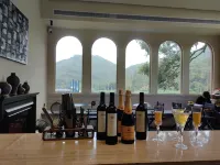 Longmen Nankunshan Sengui Homestay - bar