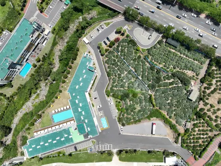 Shin Shin Hotel Jeju City