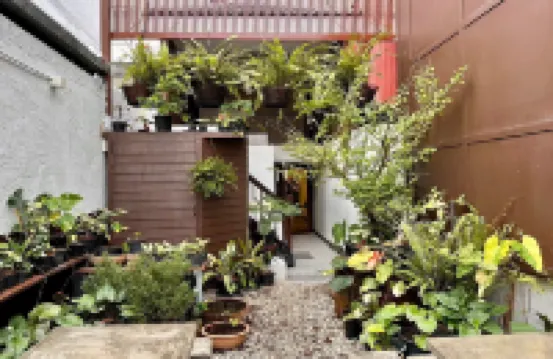 นวลนิล ซีเคร็ท คอร์ทยาร์ด