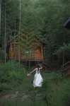 엘리펀트 & 문 리조트, 모간산 - 5성급