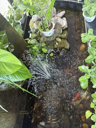 Cha Ting Holiday Hotel