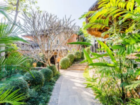 คาทิลิยาเมาท์เทนรีสอร์ทแอนด์สปา โรงแรมในอำเภอ แม่จัน