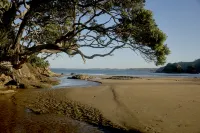 Rosewood Kauri Cliffs - 5-Star