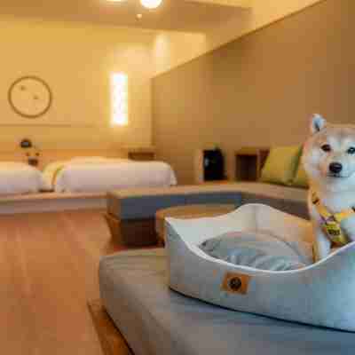 嬉野八十八 Rooms