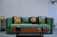 Pingshe Homestay