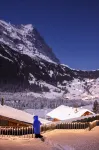格林德瓦斯賓納酒店 - 山景