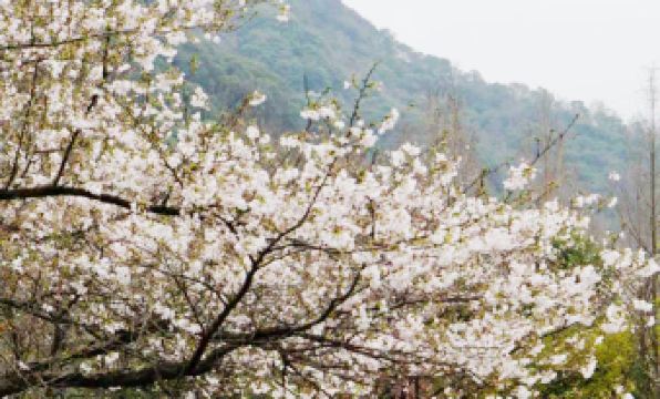 Pusen Lanting ShaoXing