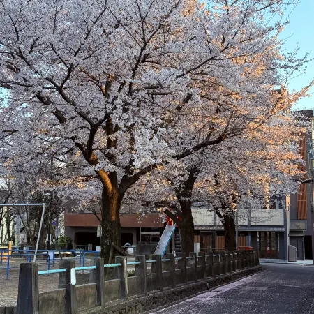 Kyoto Hatsune Hotel