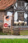 Green Forest Resort & Wedding - gimnasio