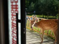 Fenglin Xing'an Deer Garden (Wuying National Forest Park) Hotels in Fenglin County
