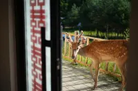 Fenglin Xing'an Deer Garden (Wuying National Forest Park)