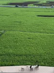 Wanfenglin Kamuka Homestay (Fuzitian) - 絶景