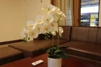 Ysamatti Travel Lodge - Villas