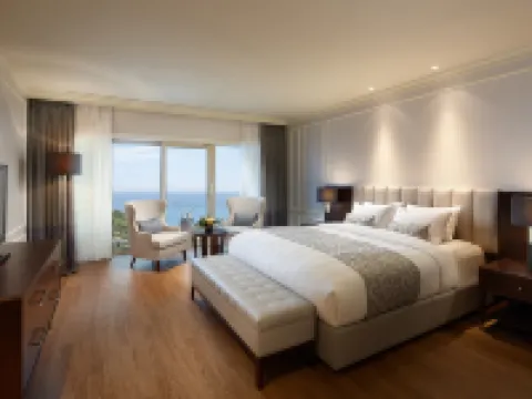 롯데호텔 제주 제주시 호텔