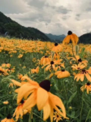 Foping Yueke New Residential Hotel