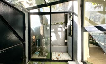 Olive Tree(Xujiahui)