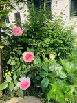 Lushan Xihai Qigu Homestay (Lushan Xihai Branch) - Mountain view