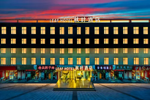 โรงแรมไลท์ลิฟวิ่ง โบฟา ซีเล็ค