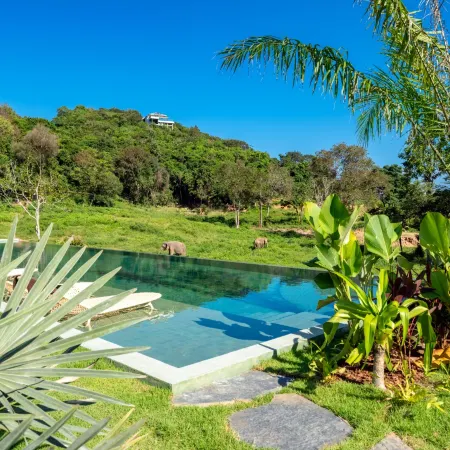 Wild Cottages Elephant Sanctuary Resort