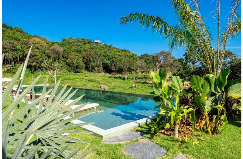 Wild Cottages Elephant Sanctuary Resort photo 2