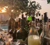 Escape Beach Resort - bar