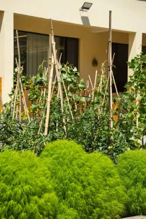 Gongliu Yuyuan Pavilion Homestay Отели в г. Гунлюй