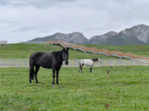 Guoluo Zhuosa Pastoral Snow Mountain Ranch Homestay Hotels in Maqin