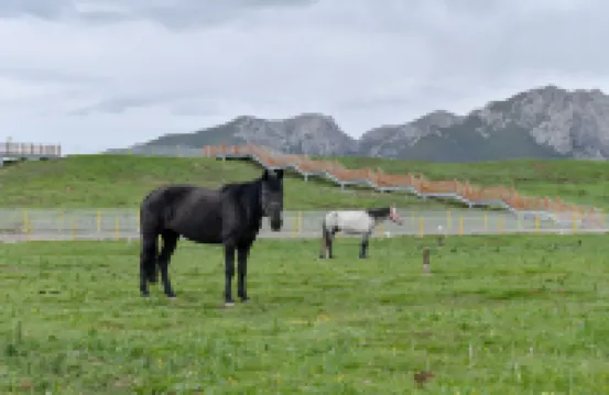 果洛瑪沁卓薩牧境雪山牧場民宿 瑪沁酒店