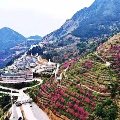 Daiking Whisky Manor Hotel Hotels near Linglong Valley Ecological Tourist Area