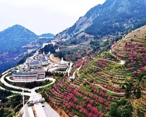Daiking Whisky Manor Hotel فنادق في بينف خه